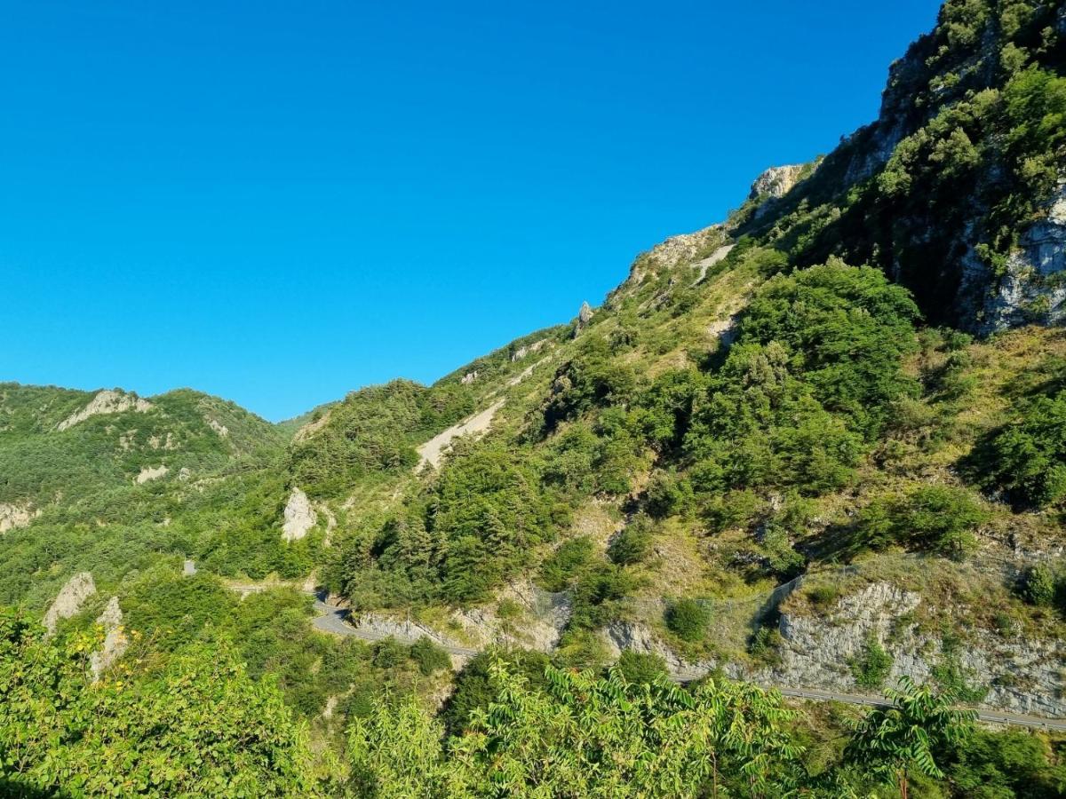 Appartement 3 Pieces Dans Maison Individuelle Entre Mer Et Montagnes Bouyon Eksteriør billede